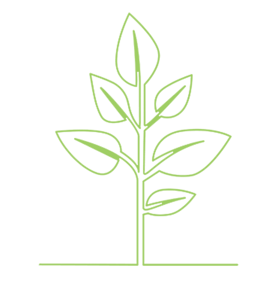 large size plant icon