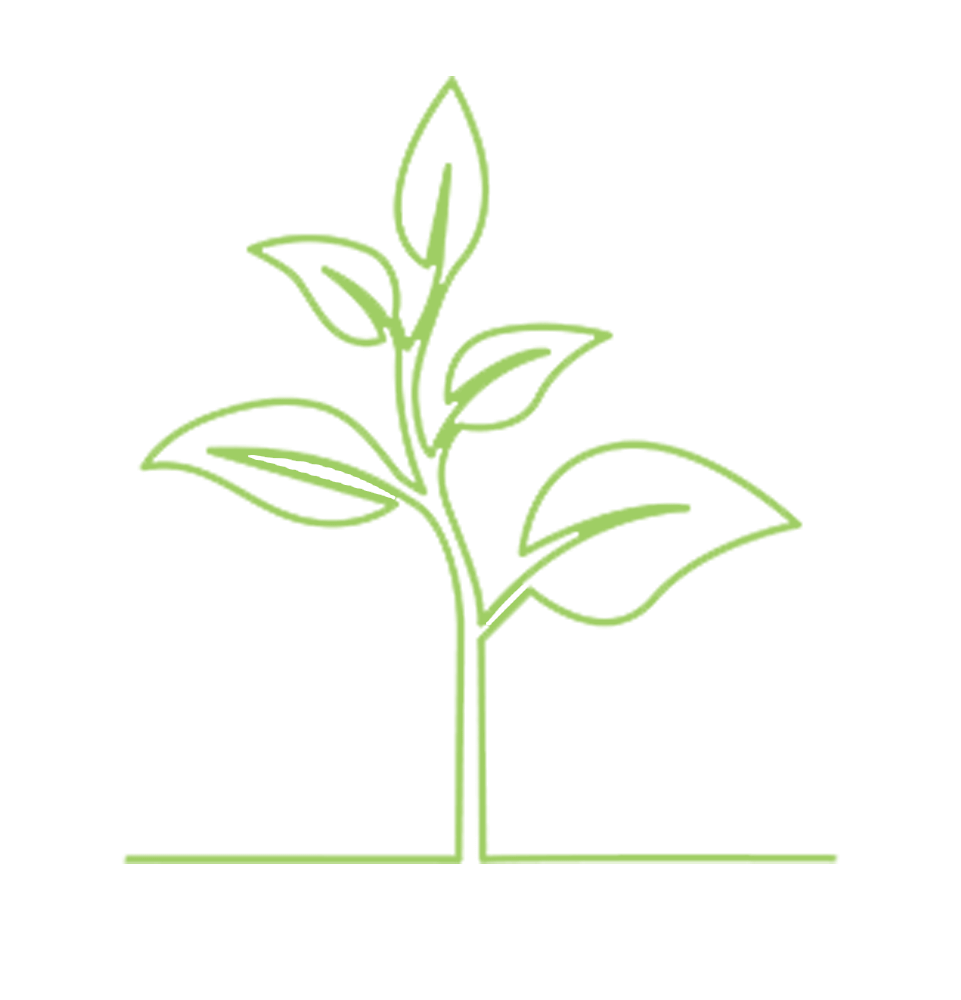 medium size plant icon